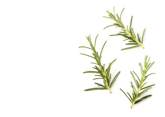 rosemary isolated on white background