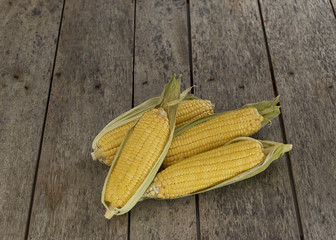 Fresh sweet corn on wooden table