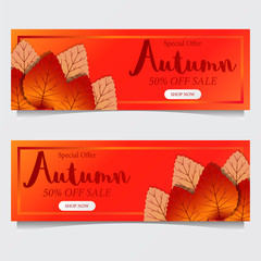 Autumn Special Offer banner with fall leaves