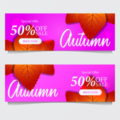 Autumn Special Offer Banner with fall leaves