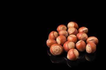 Hazelnuts in shell on a black background