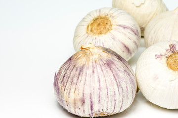 Garlic