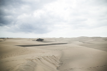 Fototapeta na wymiar Sanddünen auf Gran Canaria