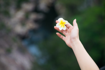 Girl's hand with flower 