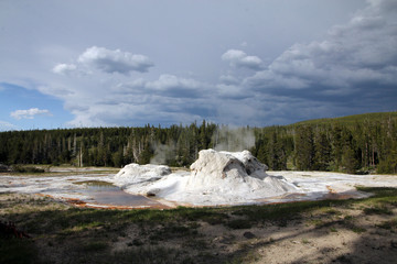 Geyser in Yellowstone National Park in USA