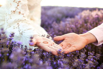 Wedding rings on hands in the field of lavender close-up.