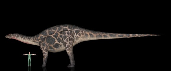 恐竜縮尺図・ディクラエオサウルス © Galileo-Giken