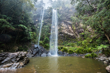 Twin Falls hike in the Springbrook National Park, Australia