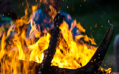 Burning wood