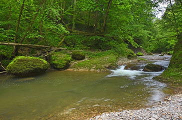 Mountain stream flows through lush-green forest. Bavaria, Germany