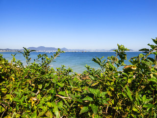Atlantic forest and a view of Ponta das Canas beach in Florianopolis, Brazil