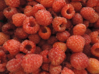 raspberry berry in the basket