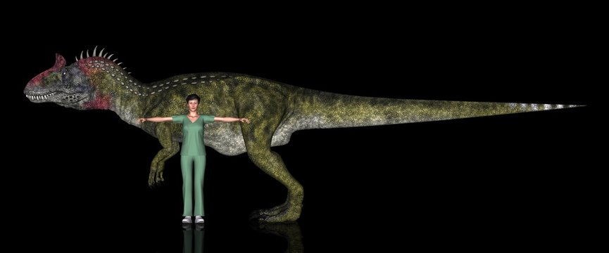 Cryolophosaurus Bilder Durchsuchen 181 Archivfotos,