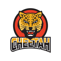 cheetah logo, vector illustration