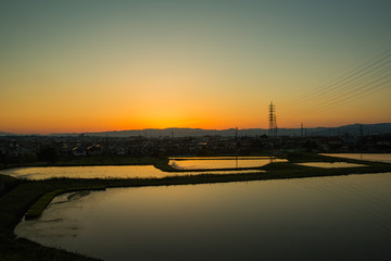 田んぼと夕焼け