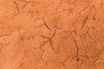 The condition of the muddy ground was cracked by the weather.