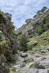 Fototapeta na wymiar Greece. Crete. The Imbros Gorge. The path goes to the sea
