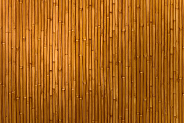 Bamboo wall.