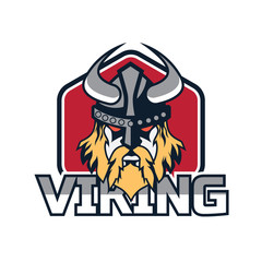 viking warrior logo, vector illustration