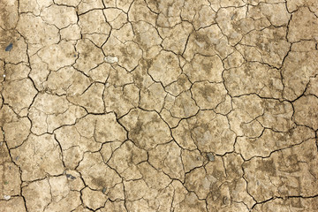 Withered grayish brown ground texture