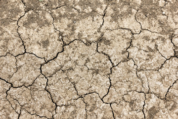 Arid ground texture
