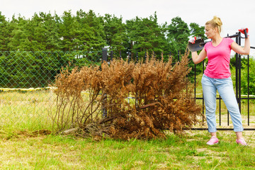 Woman removing dried thuja tree from backyard