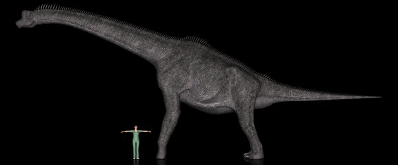 恐竜縮尺図・ブラキオサウルス