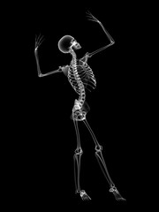 X RAY SKELETON 3D RENDER