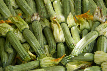 Zucchini mit Blüte