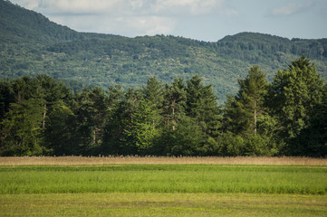 Slovenia: natura, paesaggio, energia verde, prati verdi, alberi e terre coltivate nella campagna slovena