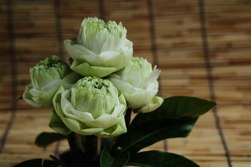 Set of lotus and green leaves in plastic cup and wet oasis on wood mat with space for write wording, new lotus product design for making merit easily and serve customers convenience