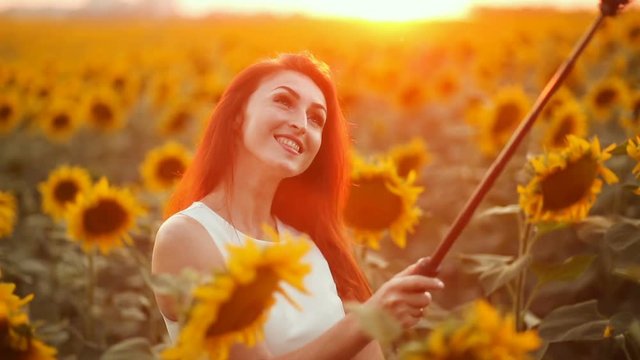 Red haired woman taking selfie with a stick. Field with sunflower on the background.
