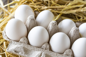 Chicken Eggs