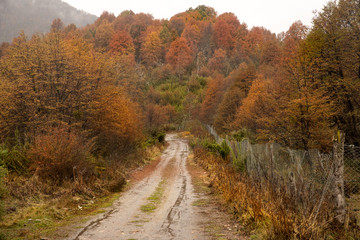 Camino de los 7 lagos ubicado en el parque Nacional Nahuel Huapi, Neuquen, Argentina.