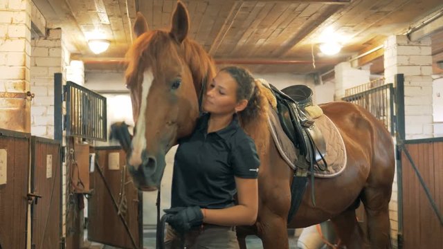 Female athlete pats a horse, close up.