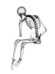 X RAY SKELETON 3D RENDER