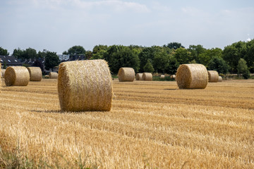 Autumn landscape. Harvest field with straw bale