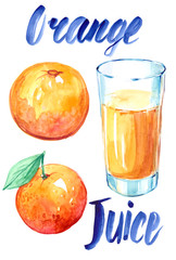 Orange juice. Watercolor illustration