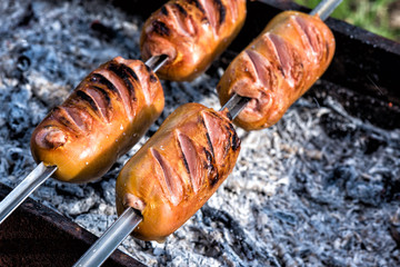 Kebab on the skewers cook on the grill