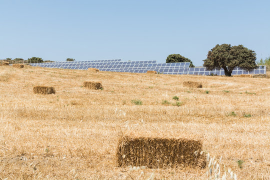 Rye Field With Bales Of Hay And Solar Energy Batteries In Milos Island, Greece