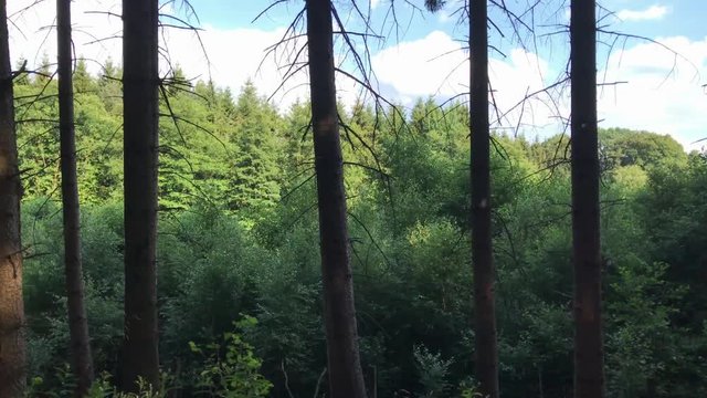 Kamerafahrt entlang einer gr&uuml;nen Landschaft im Sauerland in Deutschland