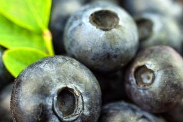 Fresh blueberries on a wooden board. Healthy summer fruit. Taste of summer. Growing of blueberries. Advertising on blueberries.