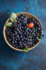Bowl with freshly picked homegrown aronia berries.