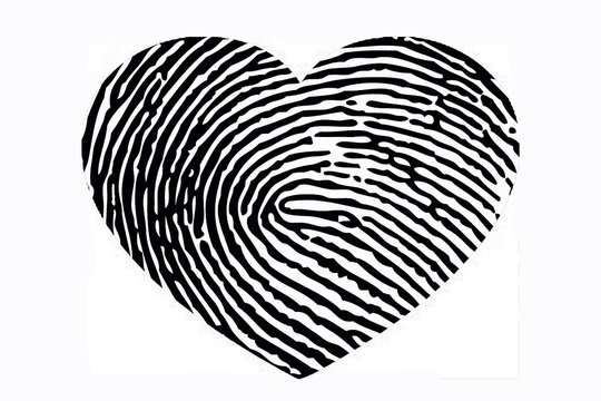 Heart with fingerprint pattern
