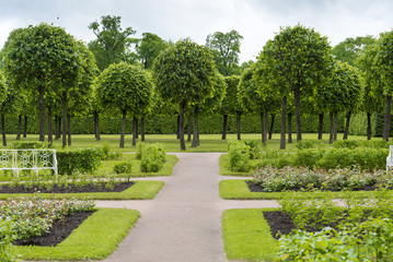 Summer Park with alleys and benches near the footpaths.