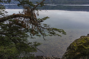 Scenic View Of Futaleufú lake at Los Alerces National Park