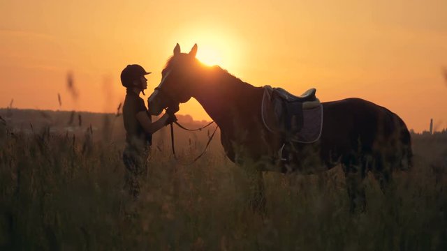 Woman and her horse on a sunset background.