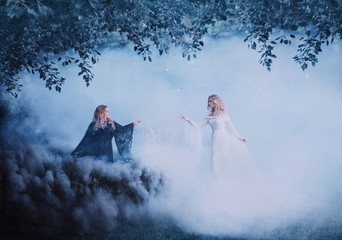 Two women yin yang in the fog. The Dark Magician meets a bright sorceress. Powerful witches conjure in the forest. Black and white smoke. Girls in the clouds. Artistic photography.