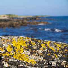 irland County Donegal Küste bei Connemara