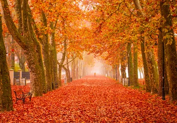  Nice autumnal scene at lake Balaton © Horváth Botond